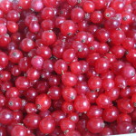 Ribsgele_01