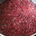 Ribsgele_03