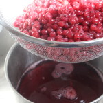 Ribsgele_04