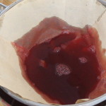 Ribsgele_05