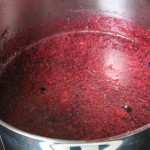 Ribsgele_06